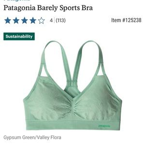 Patagonia Sports Bra